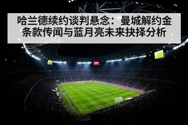 soccer stadium night floodlights crowd