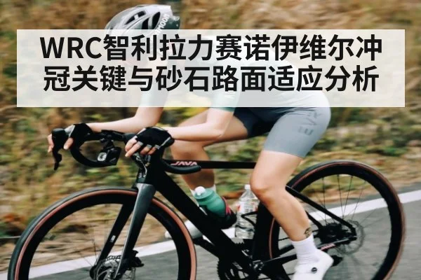 WRC智利拉力赛诺伊维尔冲冠关键与砂石路面适应分析